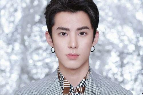 王鹤棣私生爆料视频大全,娱乐圈背后的真相与争议  第1张